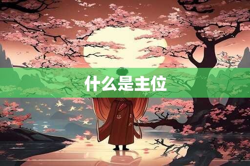什么是主位