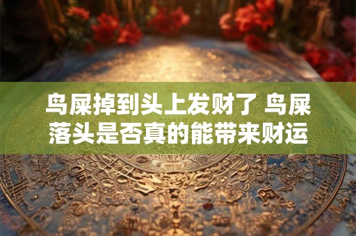 鸟屎掉到头上发财了 鸟屎落头是否真的能带来财运