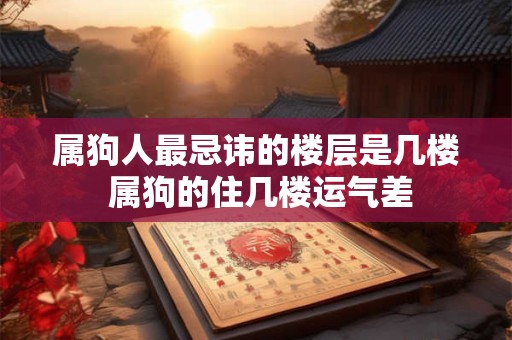 属狗人最忌讳的楼层是几楼 属狗的住几楼运气差