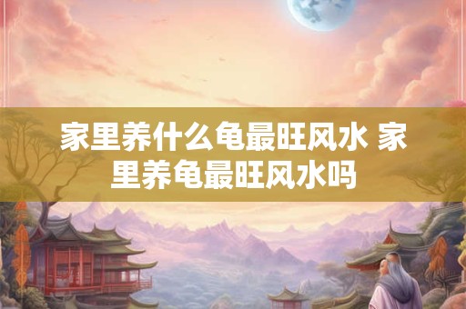 家里养什么龟最旺风水 家里养龟最旺风水吗