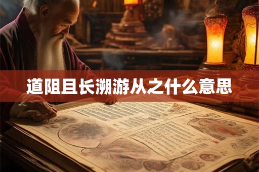 道阻且长溯游从之什么意思 道阻且长溯游从之什么意思