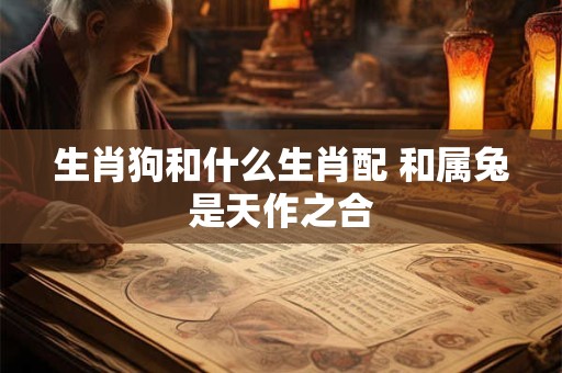 生肖狗和什么生肖配 和属兔是天作之合