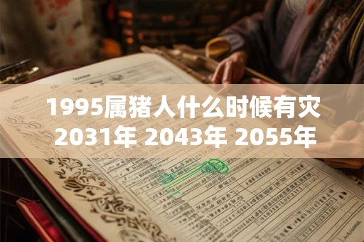 1995属猪人什么时候有灾 2031年 2043年 2055年