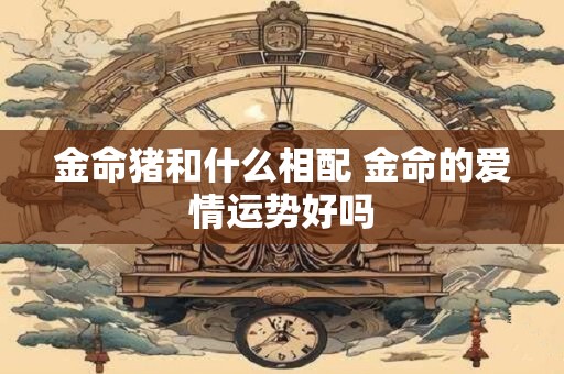 金命猪和什么相配 金命的爱情运势好吗