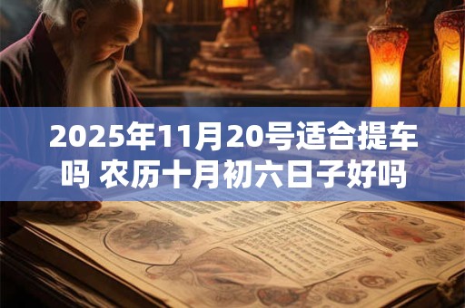 2025年11月20号适合提车吗 农历十月初六日子好吗