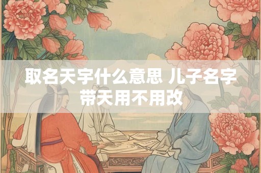 取名天宇什么意思 儿子名字带天用不用改