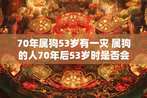 70年属狗53岁有一灾 属狗的人70年后53岁时是否会遭遇灾难 70年属狗53岁有一灾 属狗的人70年后53岁时是否会遭遇灾难