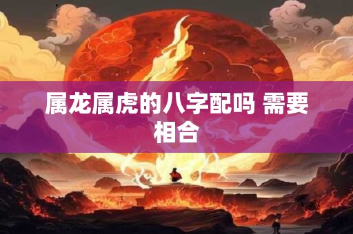 属龙属虎的八字配吗 需要相合