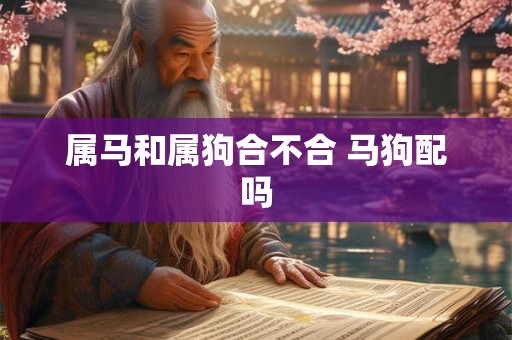 属马和属狗合不合 马狗配吗