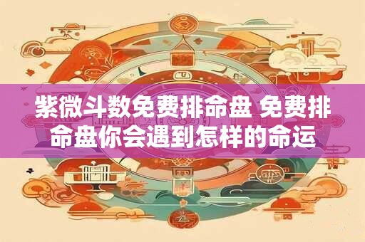 紫微斗数免费排命盘 免费排命盘你会遇到怎样的命运