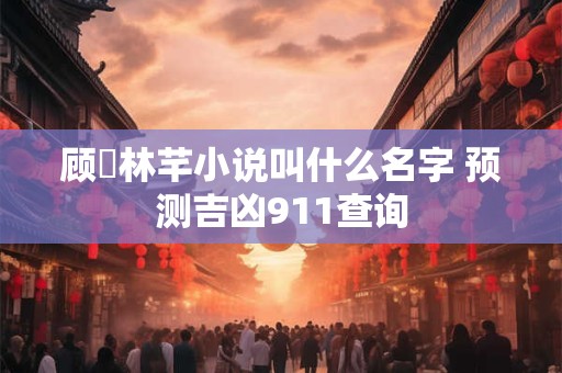 顾璟林芊小说叫什么名字 预测吉凶911查询