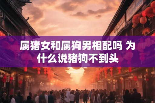 属猪女和属狗男相配吗 为什么说猪狗不到头