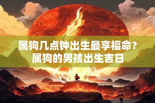属狗几点钟出生最享福命？属狗的男孩出生吉日