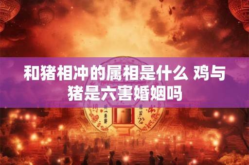和猪相冲的属相是什么 鸡与猪是六害婚姻吗