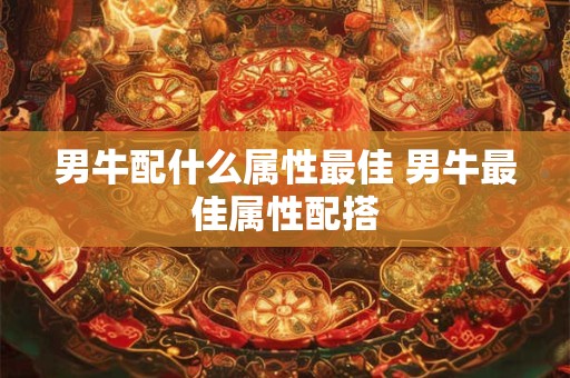 男牛配什么属性最佳 男牛最佳属性配搭