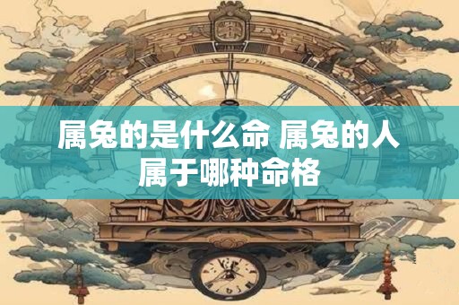 属兔的是什么命 属兔的人属于哪种命格
