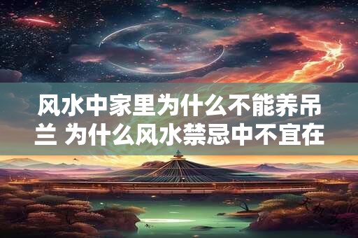 风水中家里为什么不能养吊兰 为什么风水禁忌中不宜在家养吊兰