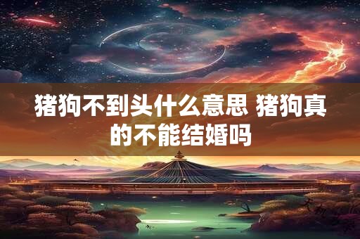 猪狗不到头什么意思 猪狗真的不能结婚吗