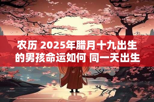 农历 2025年腊月十九出生的男孩命运如何 同一天出生的名人介绍