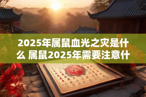 2025年属鼠血光之灾是什么 属鼠2025年需要注意什么