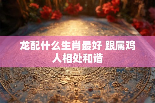 龙配什么生肖最好 跟属鸡人相处和谐