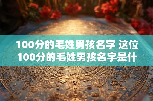 100分的毛姓男孩名字 这位100分的毛姓男孩名字是什么