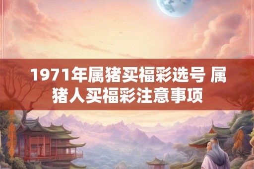 1971年属猪买福彩选号 属猪人买福彩注意事项