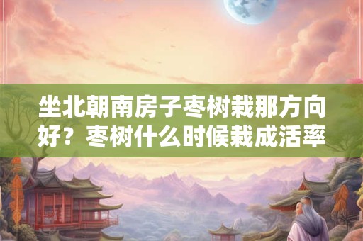 坐北朝南房子枣树栽那方向好？枣树什么时候栽成活率高？