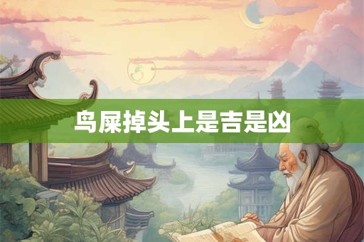 鸟屎掉头上是吉是凶