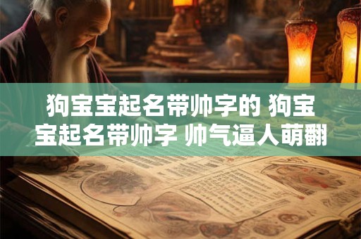 狗宝宝起名带帅字的 狗宝宝起名带帅字 帅气逼人萌翻天！