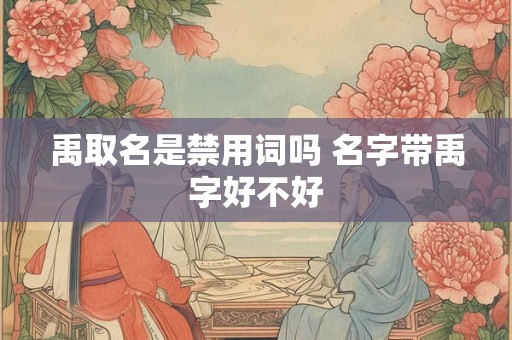 禹取名是禁用词吗 名字带禹字好不好