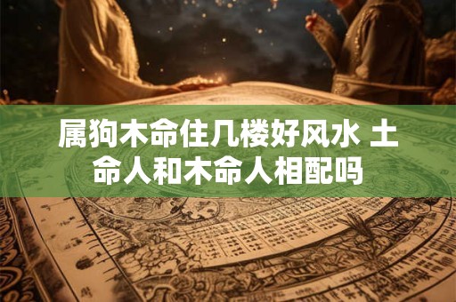 属狗木命住几楼好风水 土命人和木命人相配吗