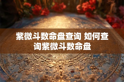 紫微斗数命盘查询 如何查询紫微斗数命盘