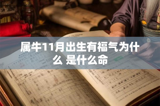 属牛11月出生有福气为什么 是什么命