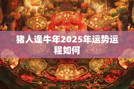 猪人逢牛年2025年运势运程如何