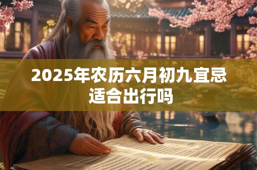 2025年农历六月初九宜忌 适合出行吗