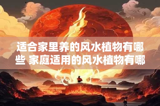 适合家里养的风水植物有哪些 家庭适用的风水植物有哪些