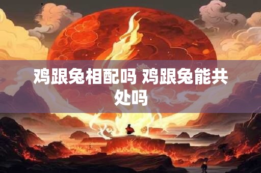 鸡跟兔相配吗 鸡跟兔能共处吗