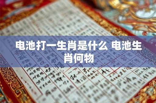 电池打一生肖是什么 电池生肖何物