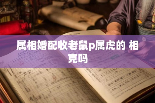 属相婚配收老鼠p属虎的 相克吗