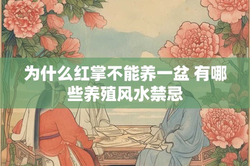 为什么红掌不能养一盆 有哪些养殖风水禁忌