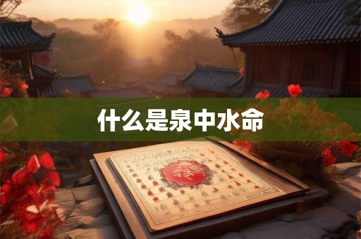 什么是泉中水命