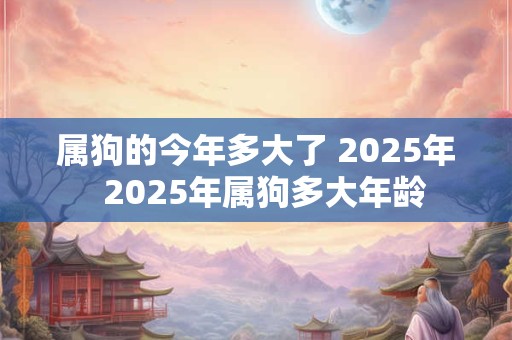 属狗的今年多大了 2025年  2025年属狗多大年龄