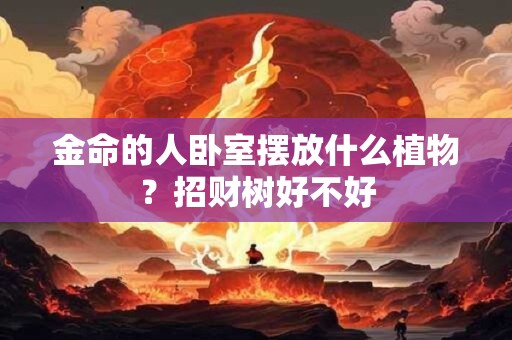 金命的人卧室摆放什么植物？招财树好不好