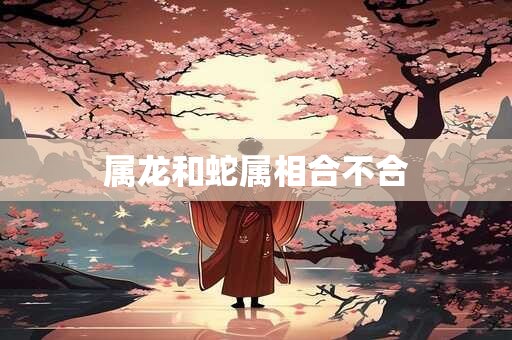 属龙和蛇属相合不合