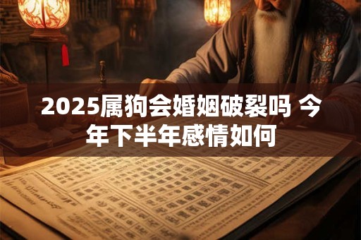 2025属狗会婚姻破裂吗 今年下半年感情如何