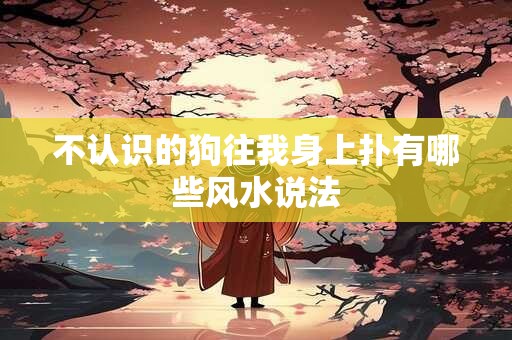 不认识的狗往我身上扑有哪些风水说法