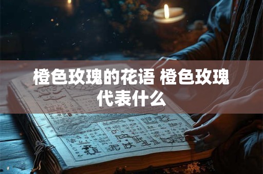 橙色玫瑰的花语 橙色玫瑰代表什么