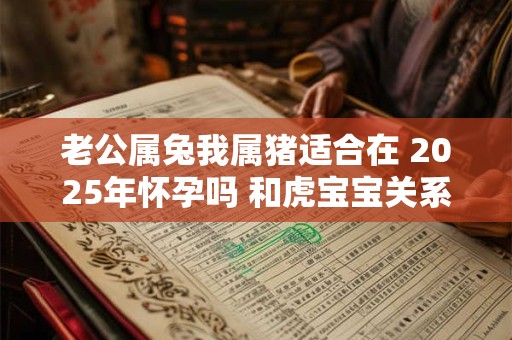 老公属兔我属猪适合在 2025年怀孕吗 和虎宝宝关系如何