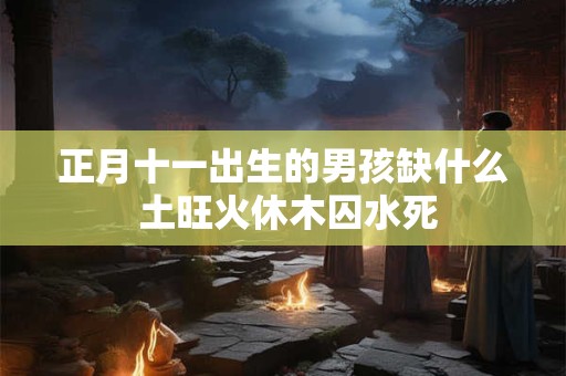 正月十一出生的男孩缺什么 土旺火休木囚水死